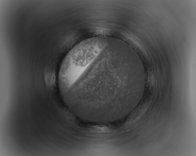 X0000094460502200711081328