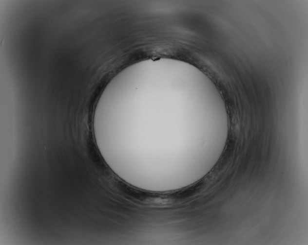 X0000094460506200711081328