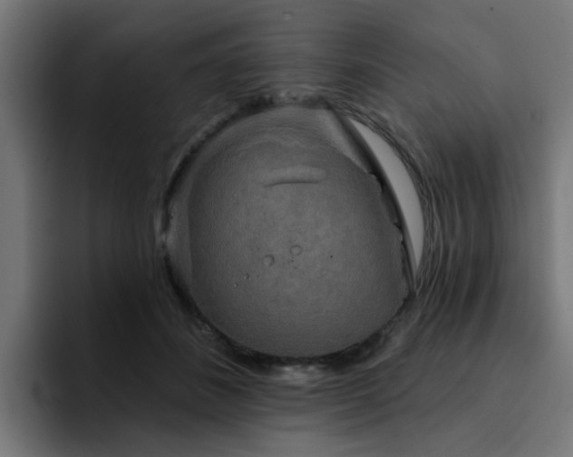 X0000094460508200711081328