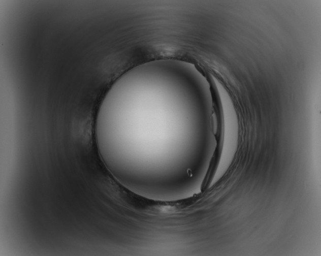 X0000094460509200711081328