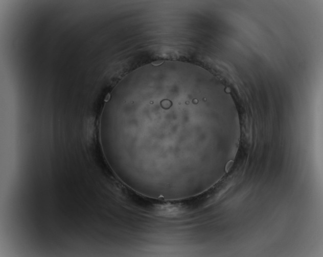 X0000094460511200711081328