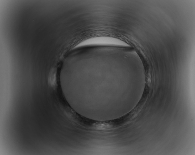 X0000094460512200711081328