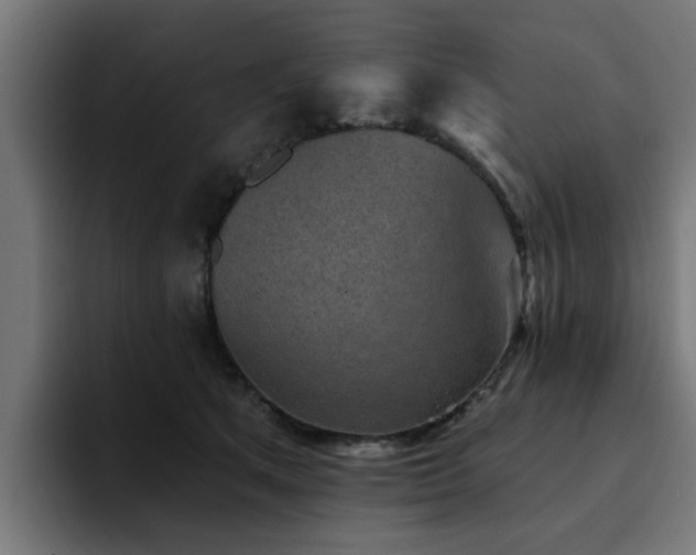 X0000094460513200711081328