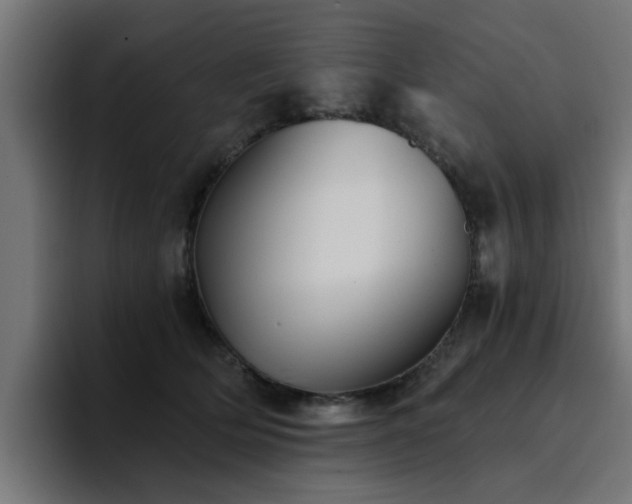 X0000094460514200711081328