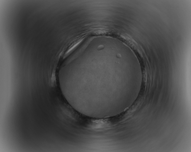 X0000094460516200711081328