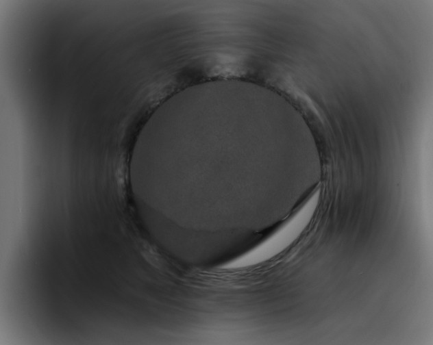 X0000094460517200711081328