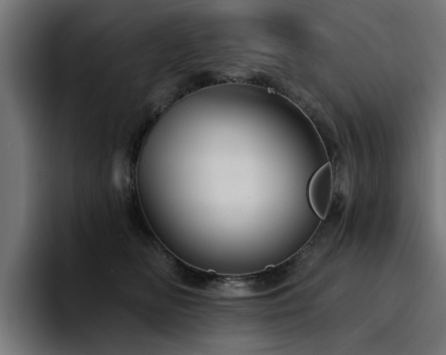 X0000094460518200711081328