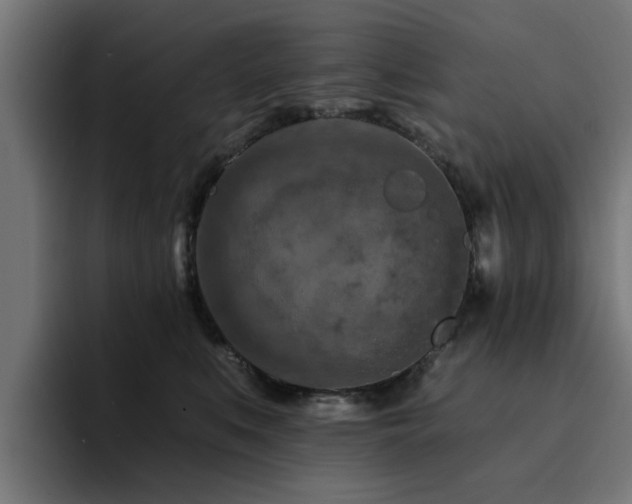 X0000094460519200711081328