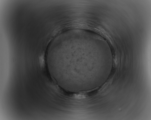 X0000094460520200711081328