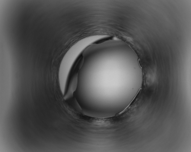 X0000094460521200711081328