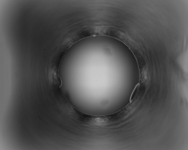 X0000094460522200711081328