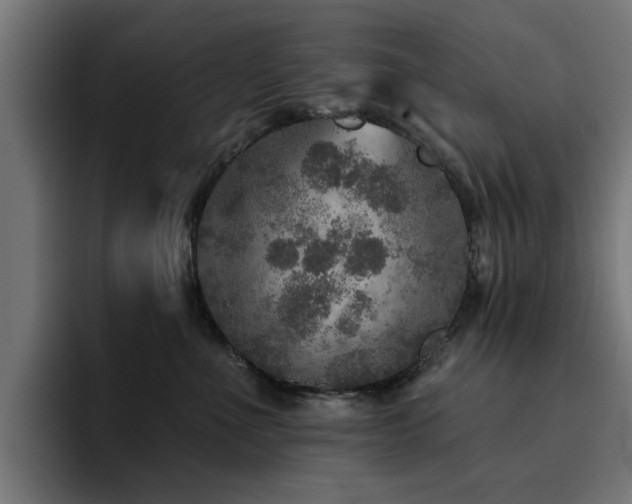 X0000094460523200711081328