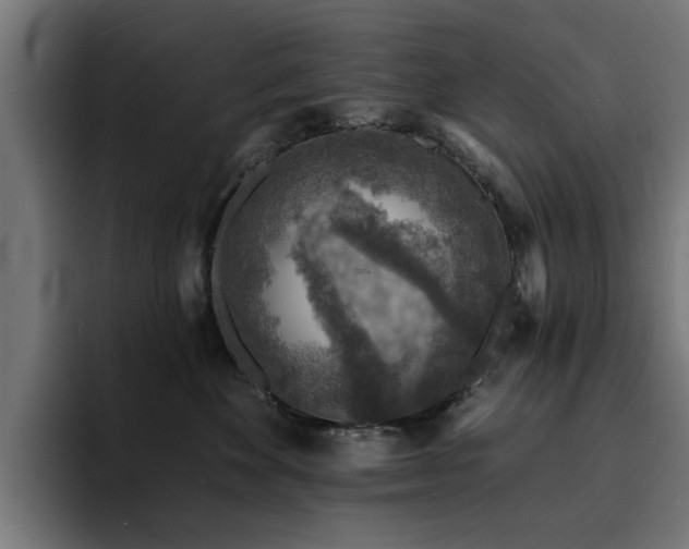 X0000094460524200711081328