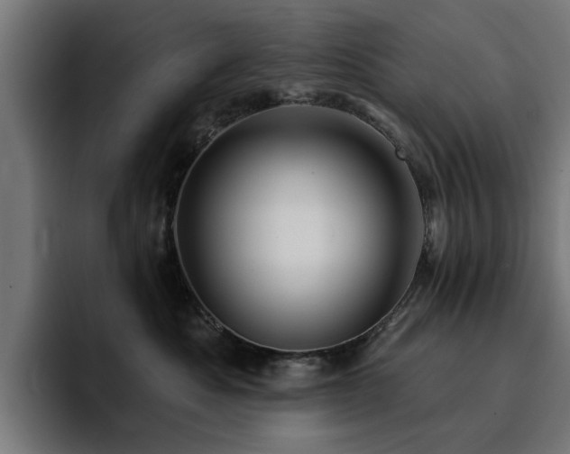X0000094460525200711081328