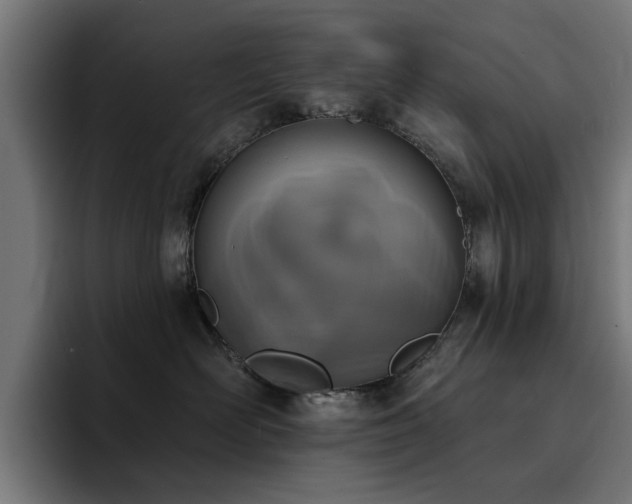 X0000094460526200711081328