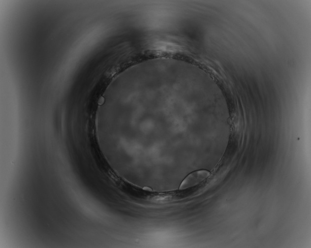 X0000094460527200711081328