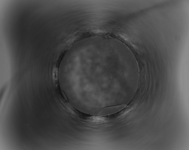 X0000094460528200711081328