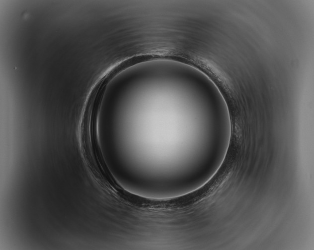 X0000094460532200711081327