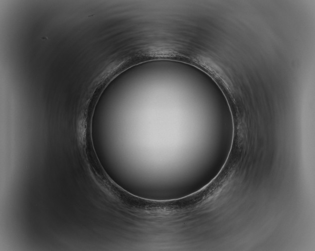 X0000094460533200711081327