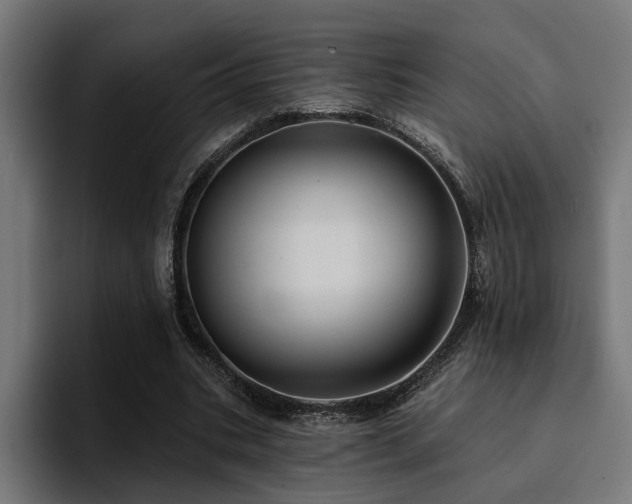 X0000094460535200711081327