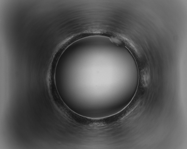 X0000094460536200711081327