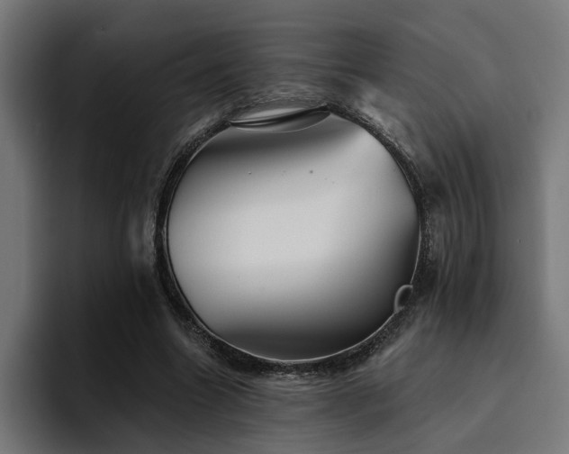 X0000094460538200711081327