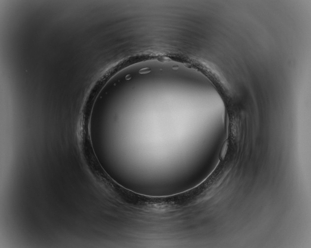 X0000094460540200711081327