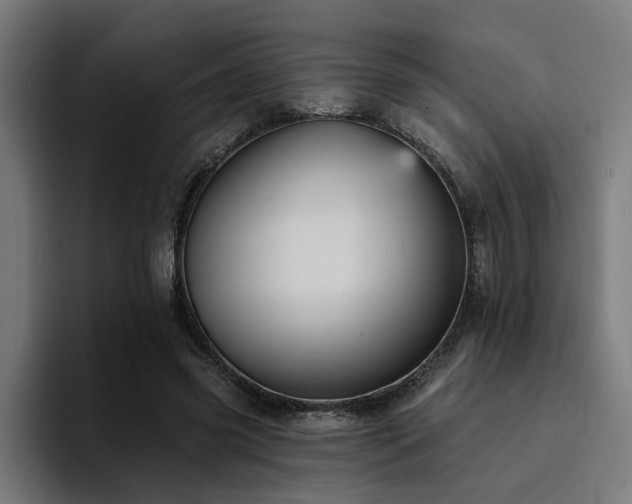 X0000094460541200711081327