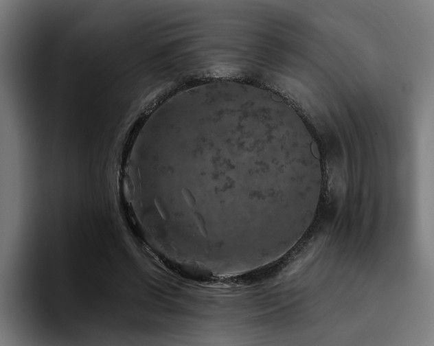 X0000094460542200711081327