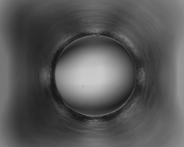 X0000094460544200711081327