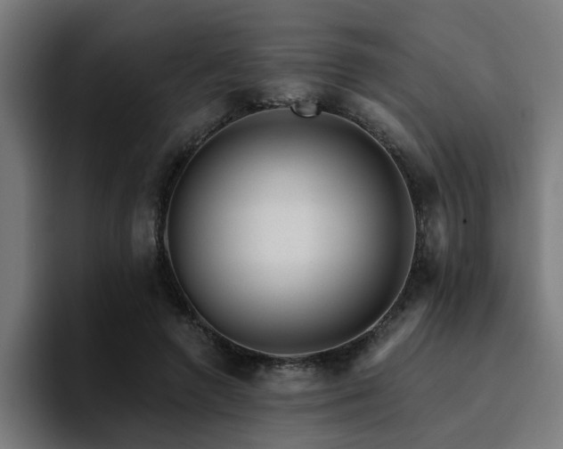 X0000094460546200711081327