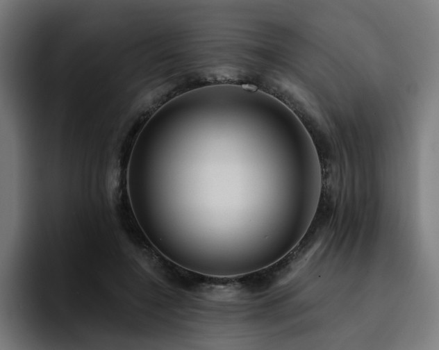 X0000094460548200711081327