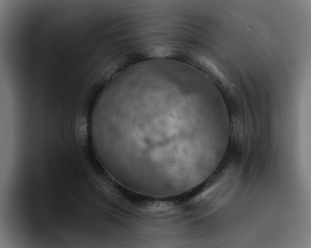 X0000094460549200711081327