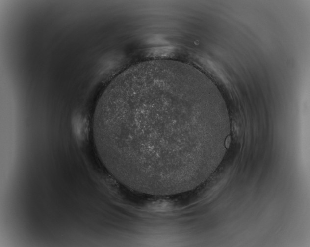 X0000094460551200711081327