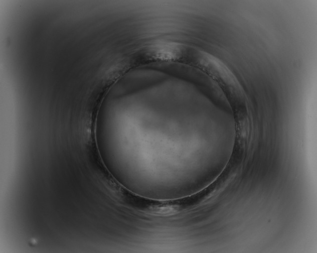 X0000094460553200711081327
