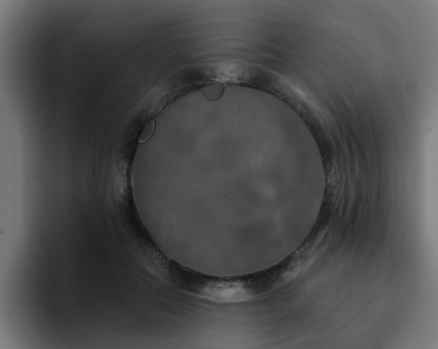 X0000094460554200711081327