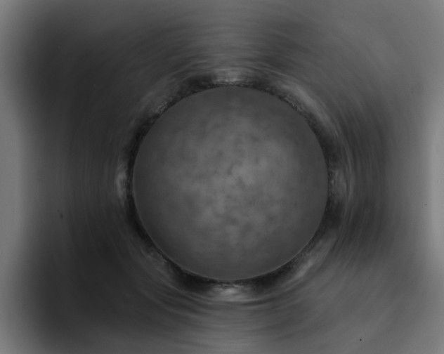 X0000094460557200711081327