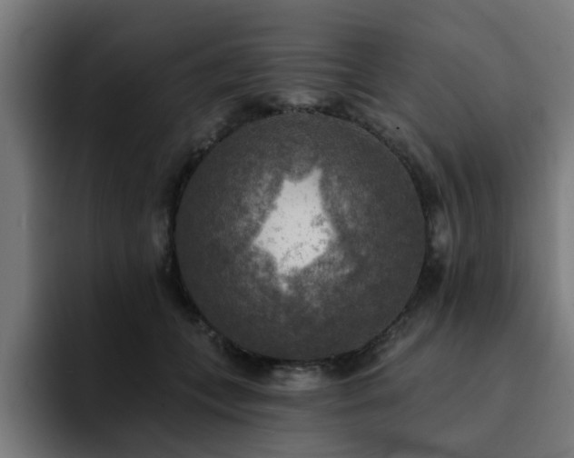 X0000094460559200711081327