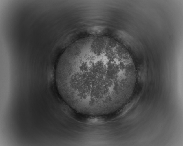X0000094460561200711081327