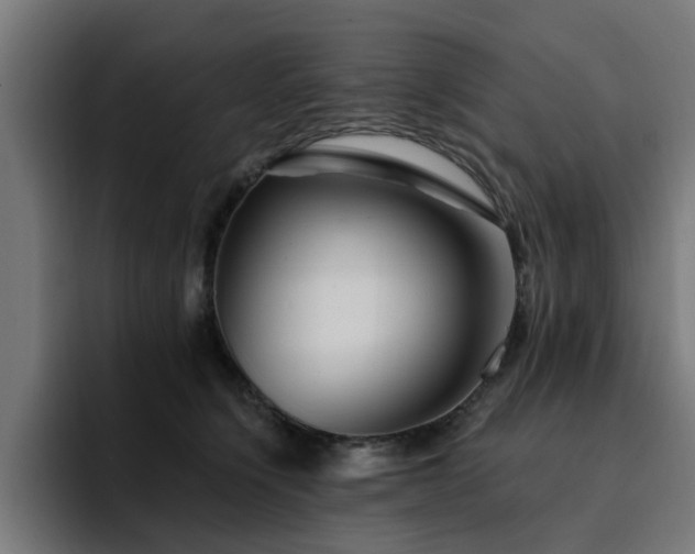 X0000094460564200711081327