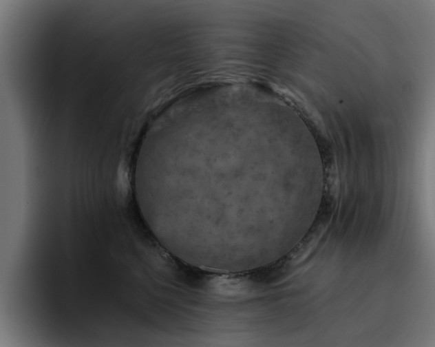 X0000094460568200711081327