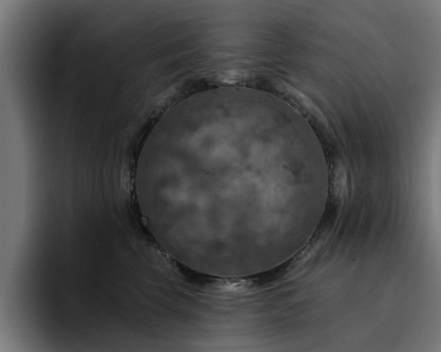 X0000094460569200711081328