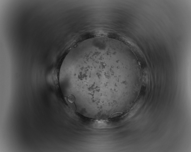 X0000094460573200711081328