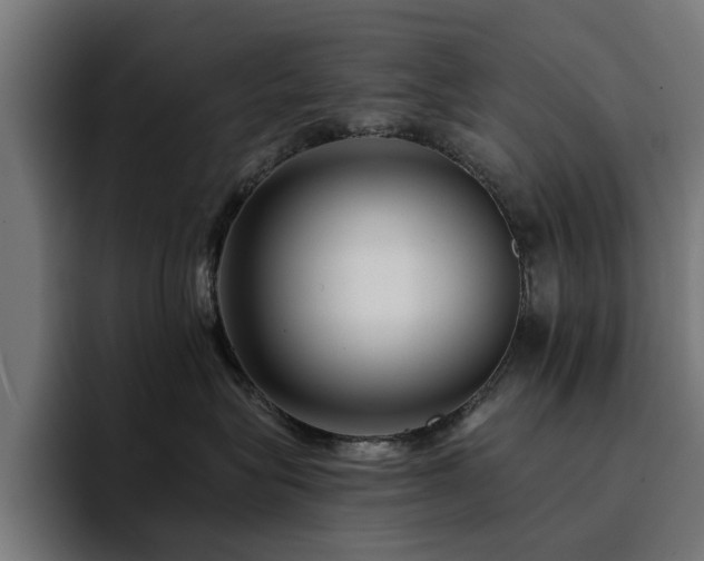 X0000094460575200711081328
