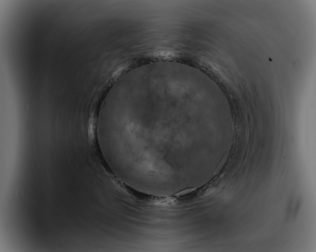 X0000094460576200711081328