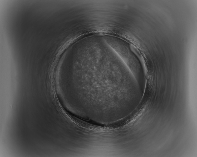X0000094460577200711081327