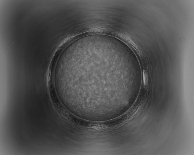 X0000094460579200711081327