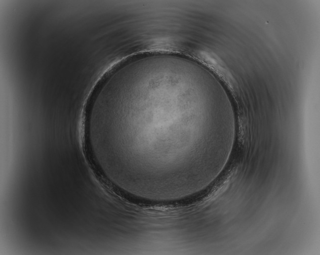 X0000094460580200711081327