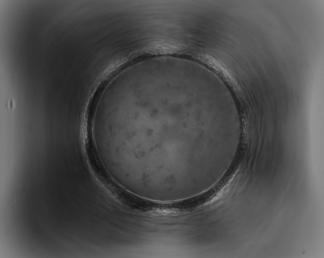 X0000094460582200711081327