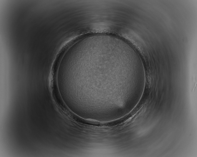 X0000094460583200711081327
